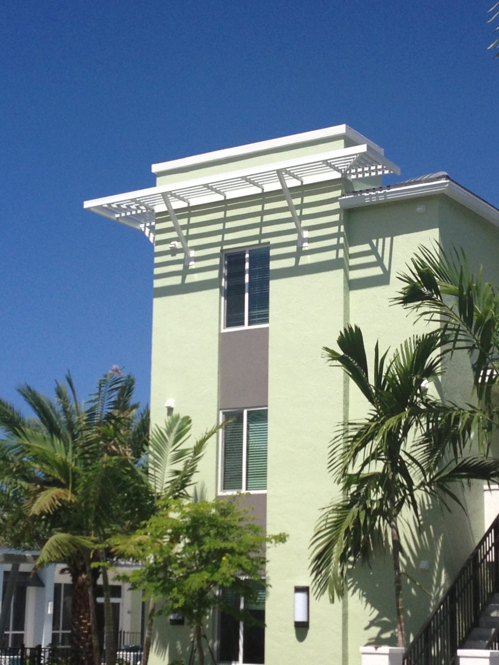 Modern light green building with large windows and tropical palm trees.