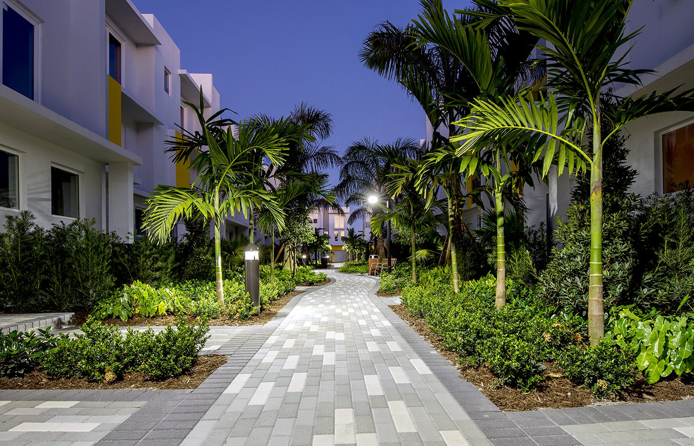 Illuminated pathway surrounded by palm trees at night.