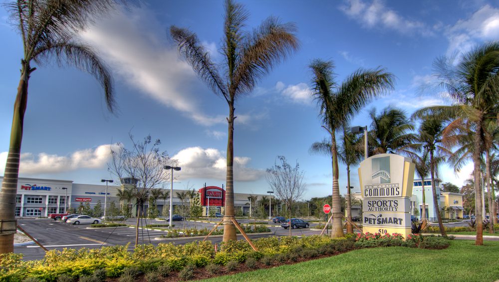 Palm trees lining a landscaped area near a building under a blue sky.